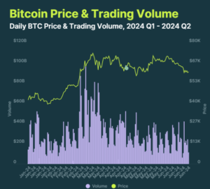 Read more about the article REPORT | Total Crypto Market Cap Fell By Over 14% in Q2 2024 with Meme Coins Dominating the Chart and Narrative